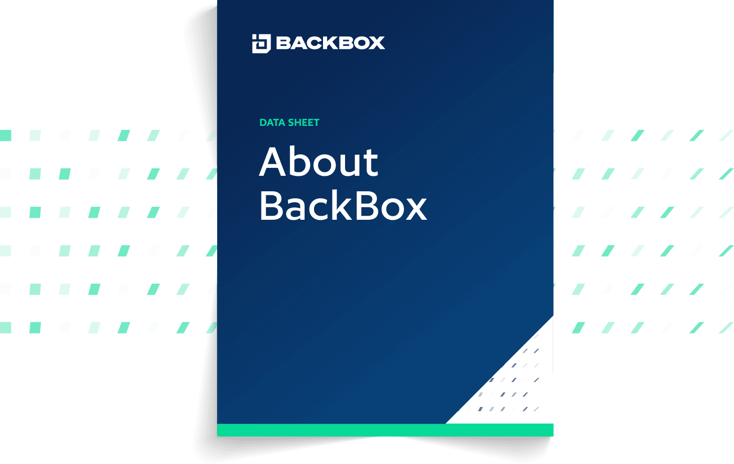 about-backbox