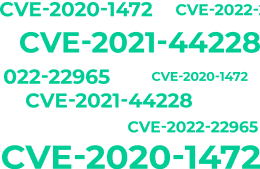 List of CVE data illustration
