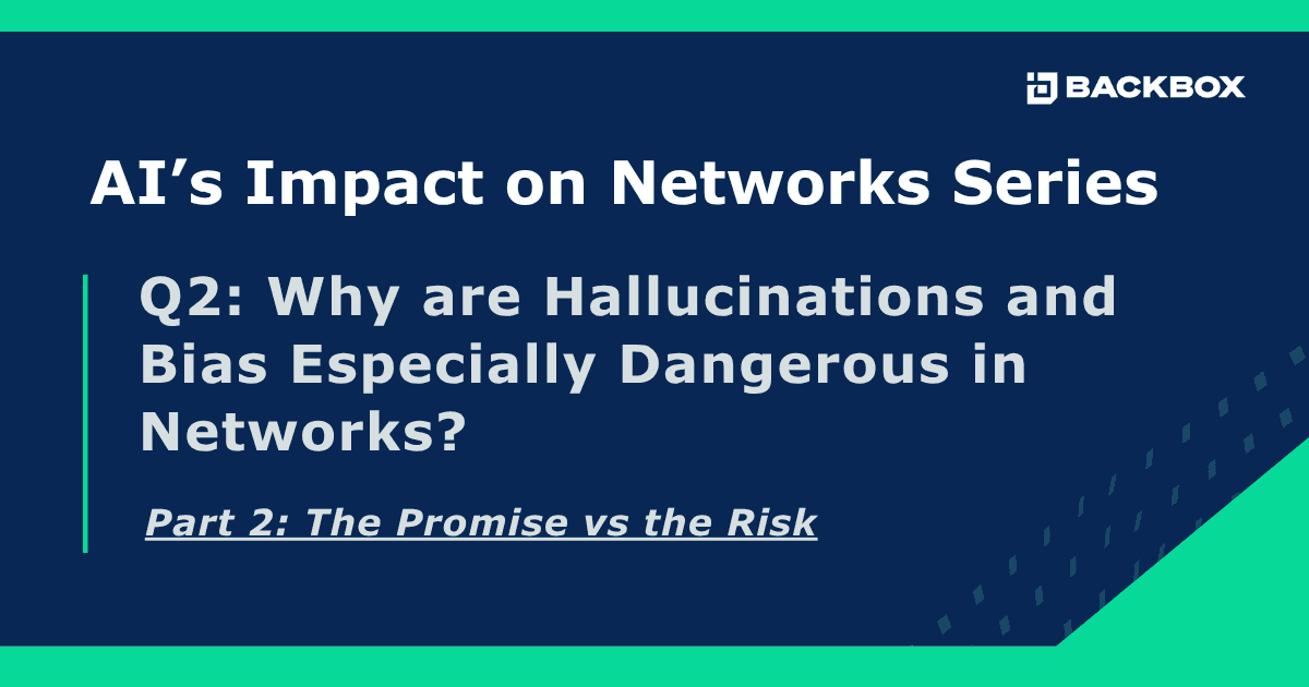 Why are Hallucinations and Bias Especially Dangerous in Networks cover image