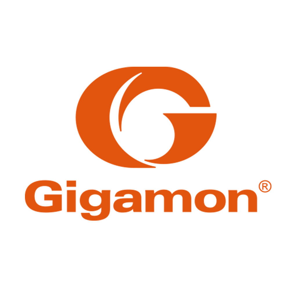 Gigamon_BackBox_Ty_U15111701