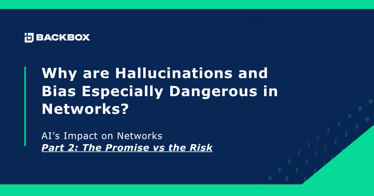 Why are Hallucinations and Bias Especially Dangerous in Networks cover graphic